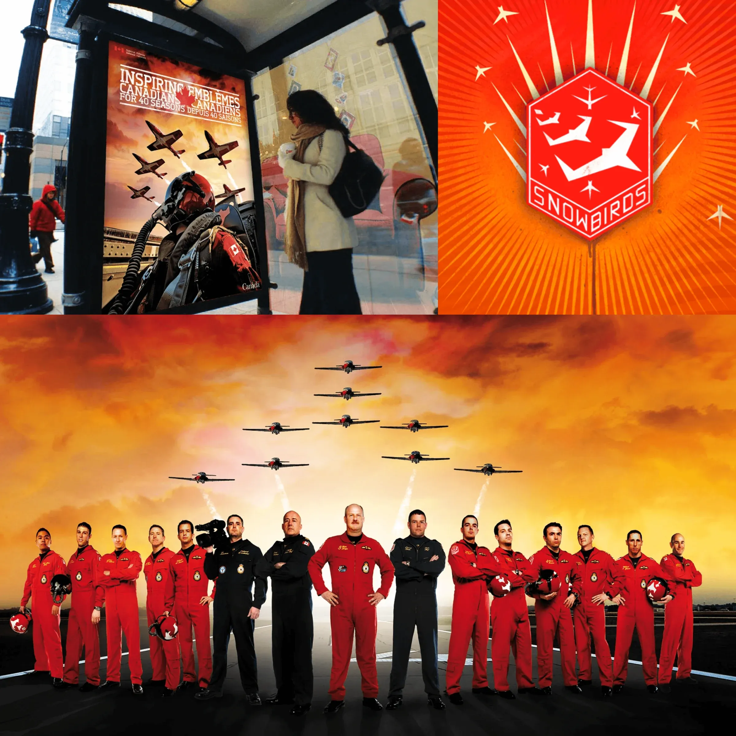 Snowbirds campaign