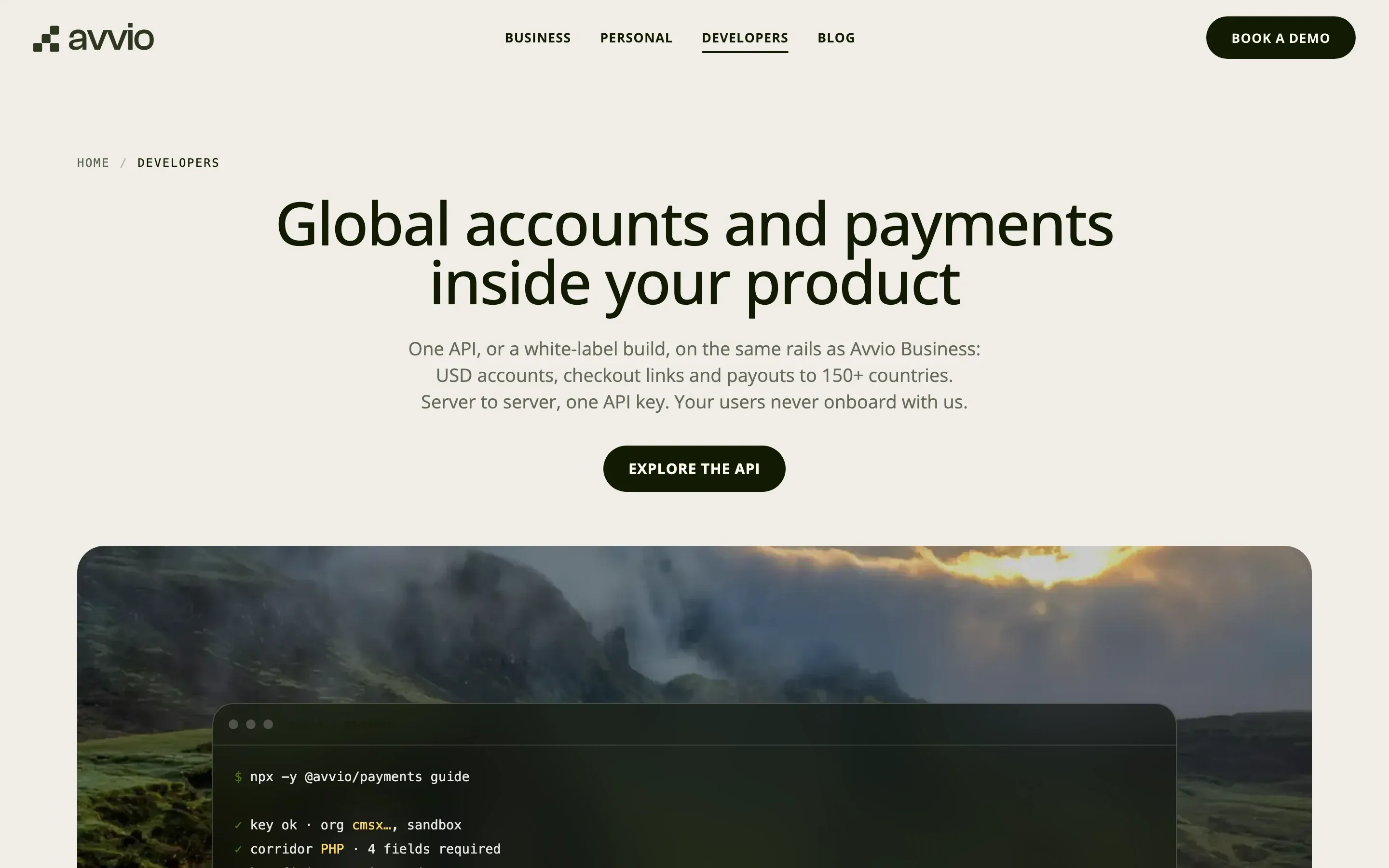 Avvio developers page: global accounts and payments inside your product