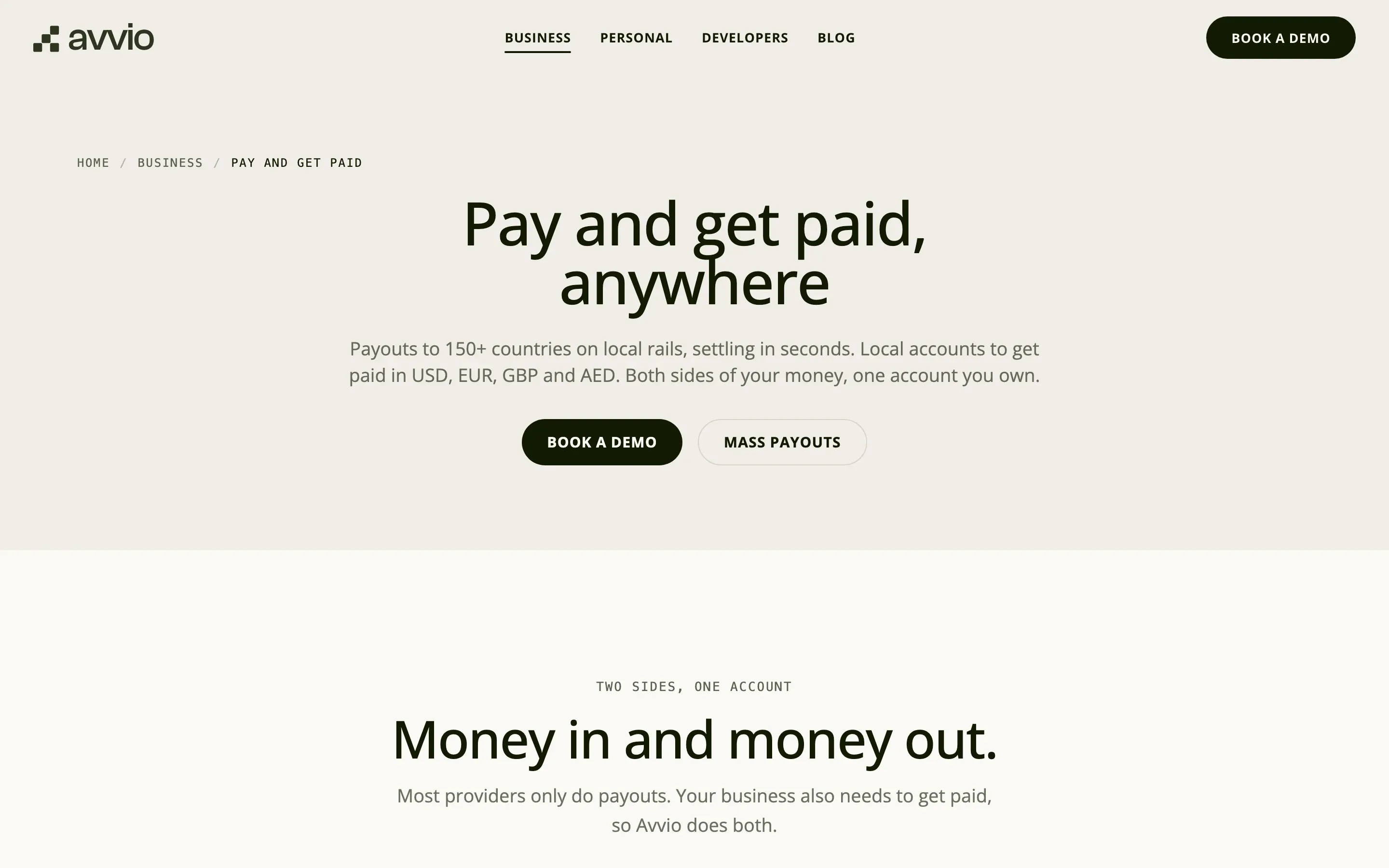 Avvio Business payments page: Pay and get paid, anywhere