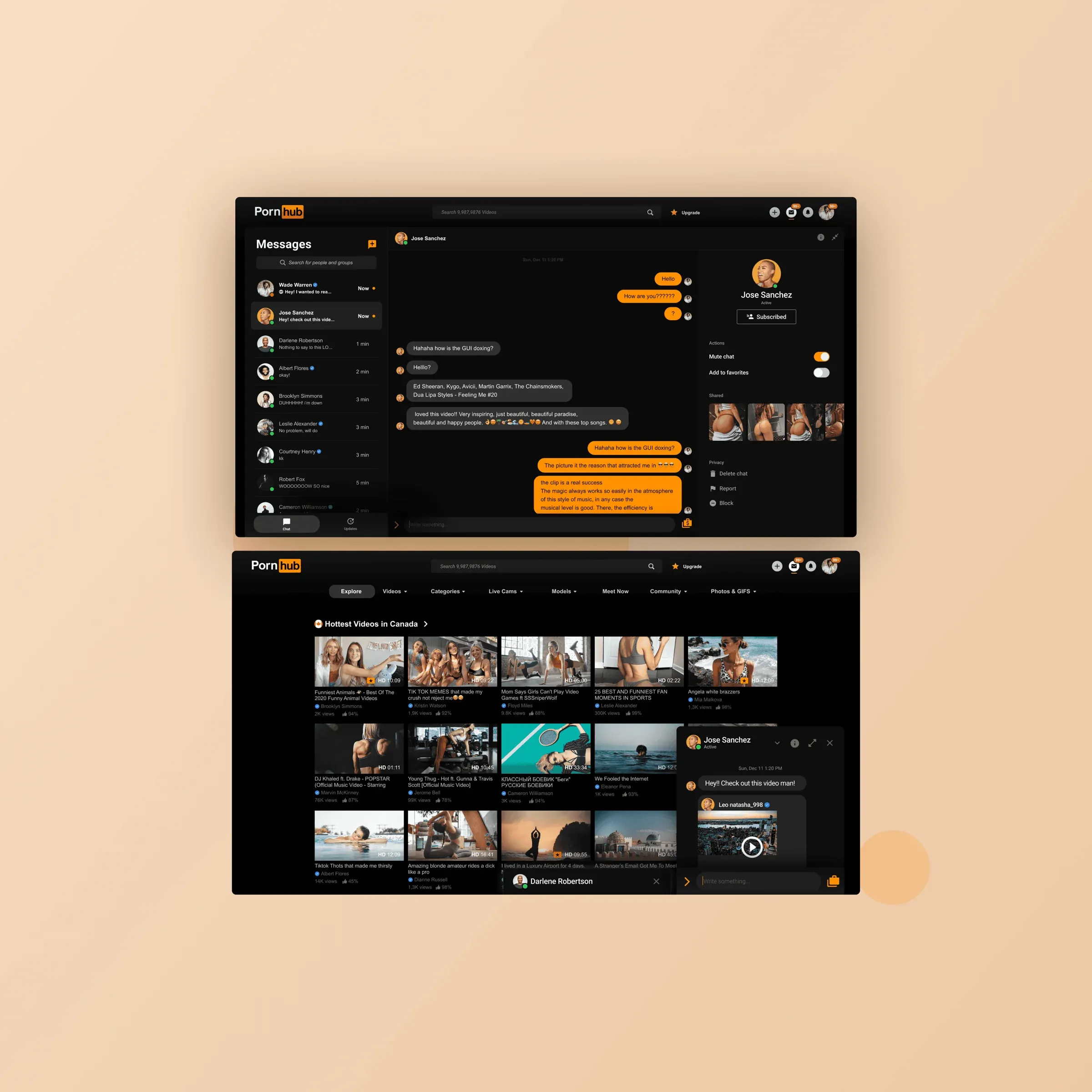 Pornhub Premium and player