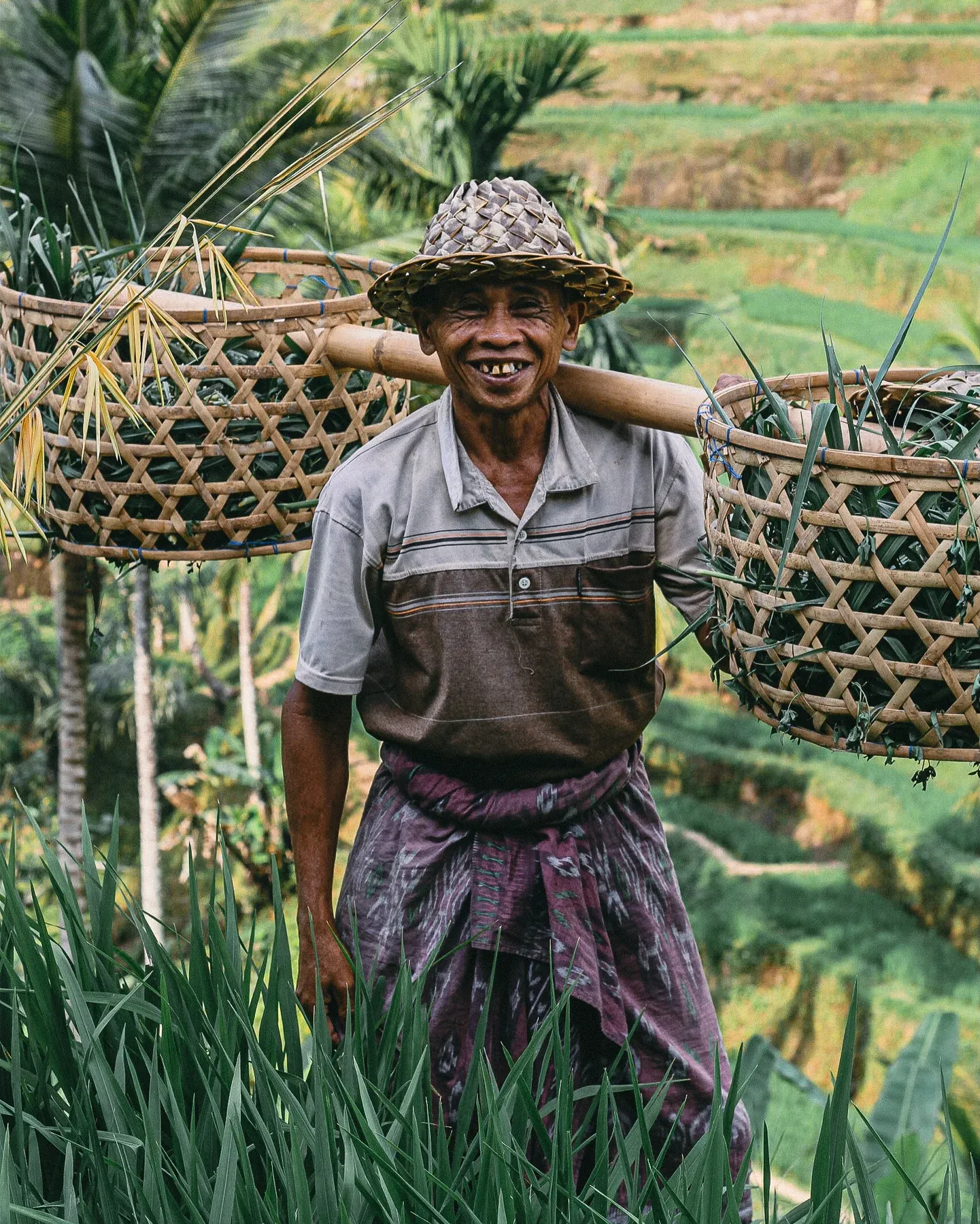 Farmer carrying baskets through rice terraces