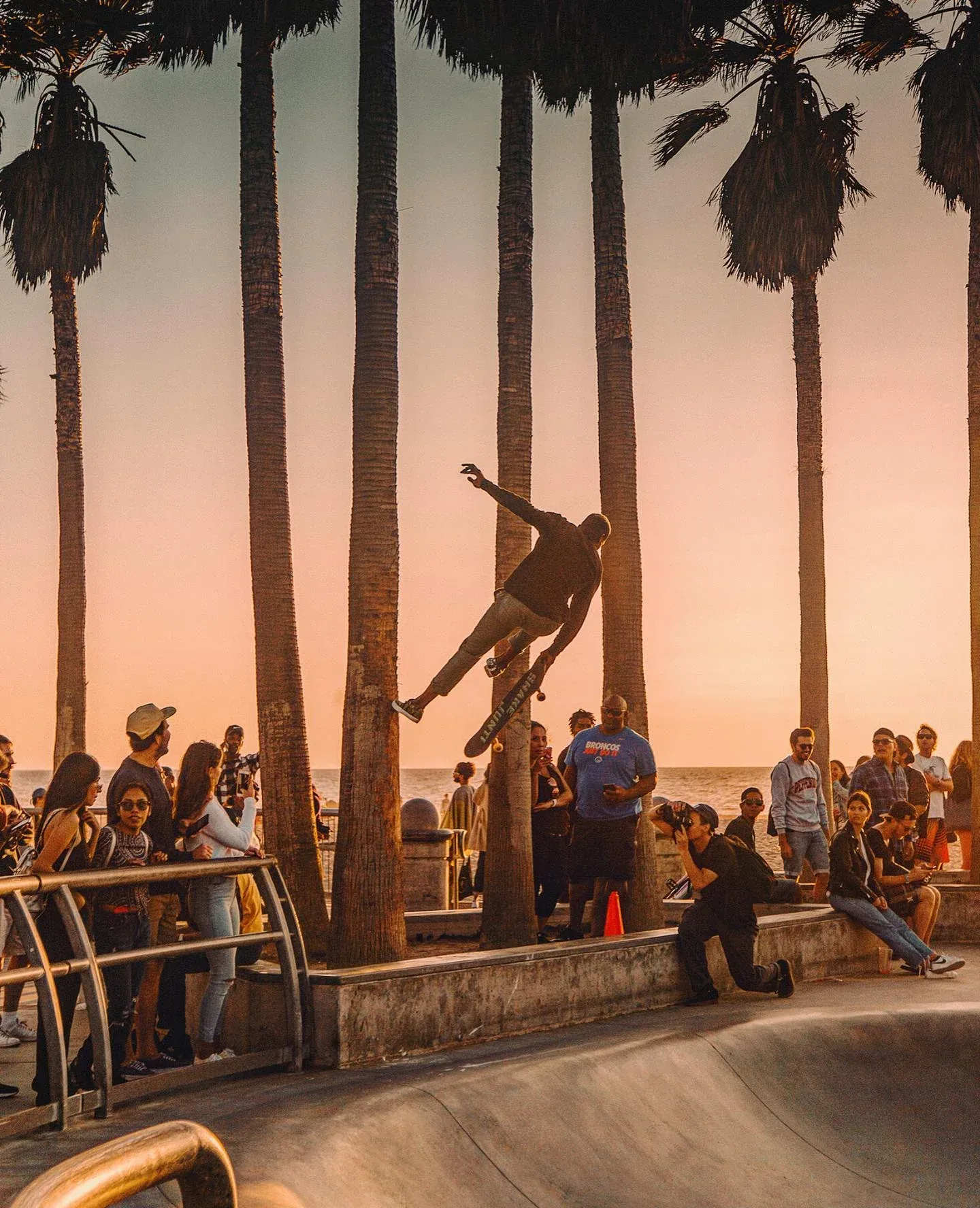 Skater mid-air among palm trees at sunset
